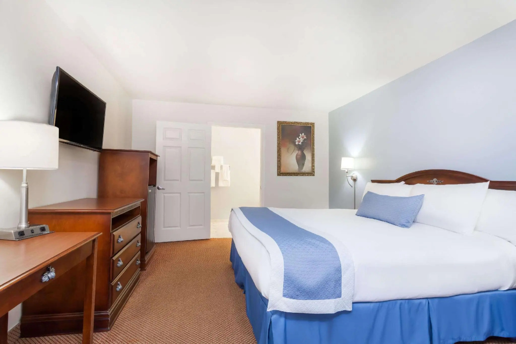 Double Suite (full double bed)