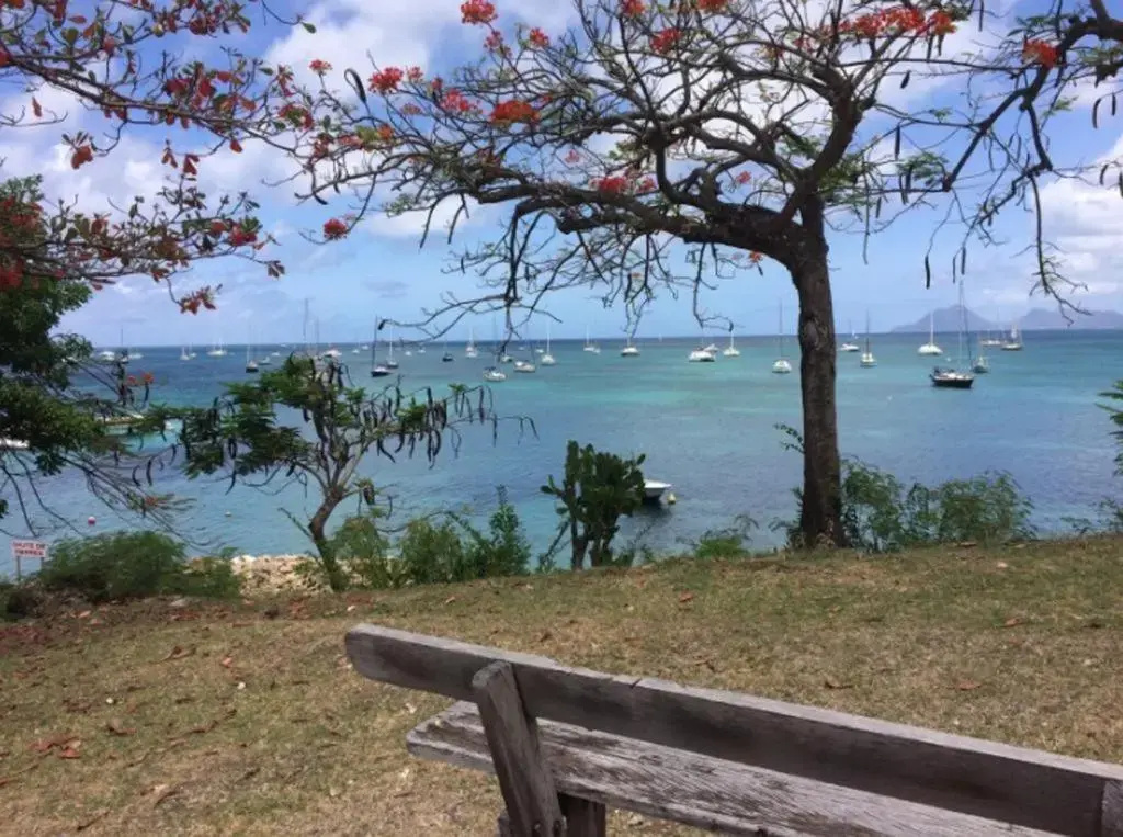 Holidays in Martinique - Ravenala