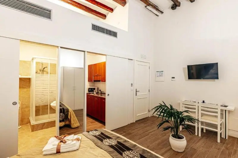 Classic Double Apartment (full double bed)