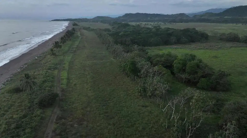 Casa Caletas - фото 19