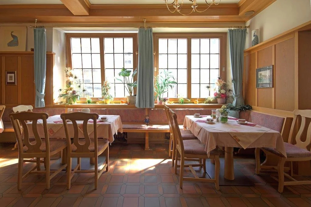 Hotel Pfauen - Général