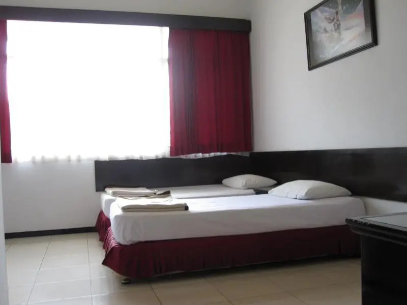 Deluxe Double room (twin beds)