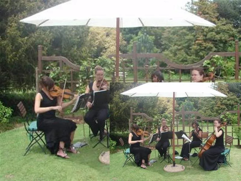 Greenways Manor Guesthouse - фото 24