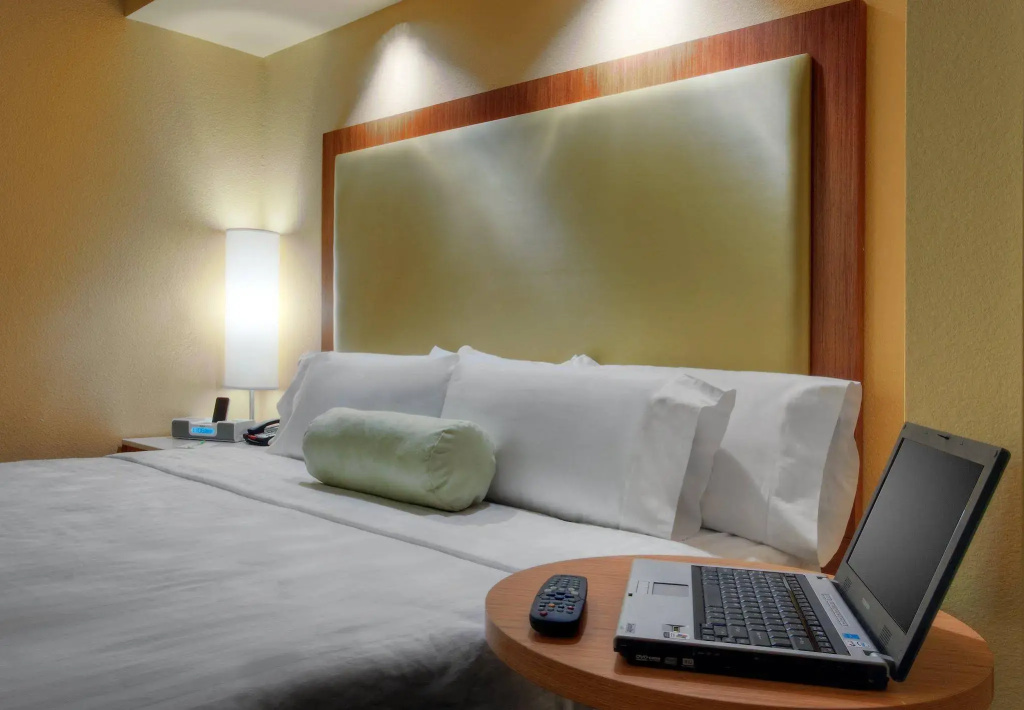 SpringHill Suites by Marriott Baton Rouge North/Airport - Général