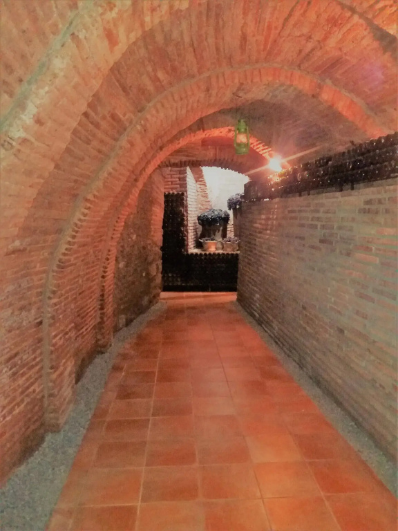 Hotel Rey Sancho - Général