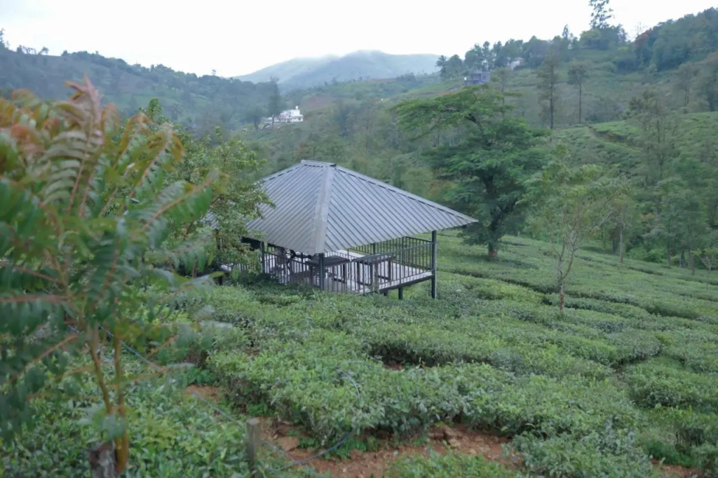 Pekoe Plantation Villa By Lexstays - фото 20