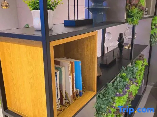 Balcony & Terrace