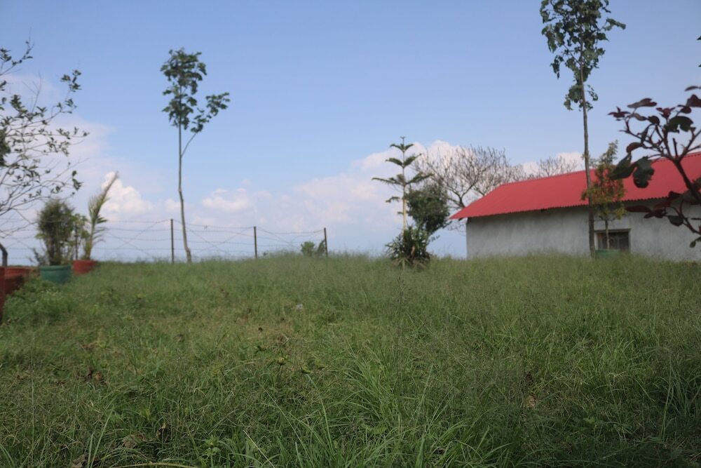 Image 19