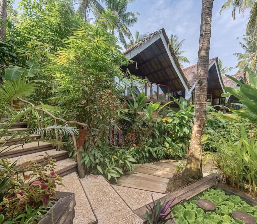 Jungle Nest Resort