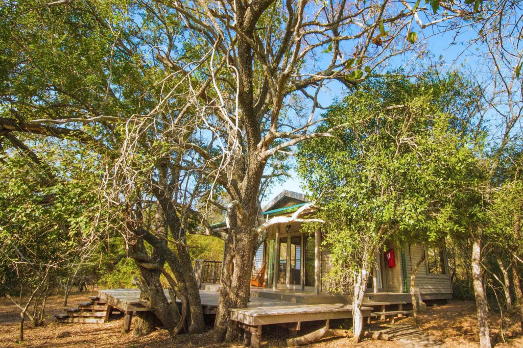 Thornwood — фото 5