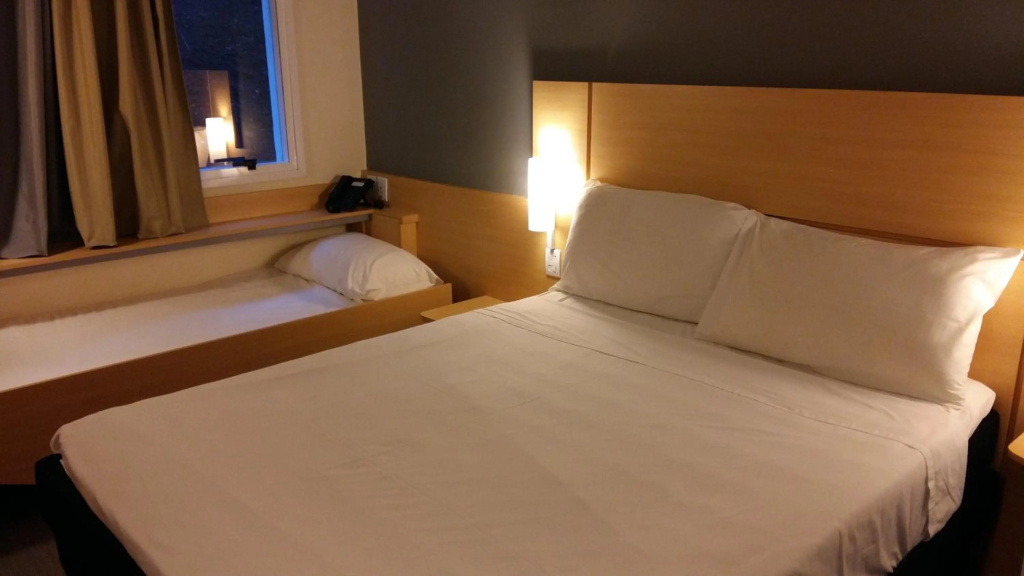 Ibis Juiz De Fora - Général