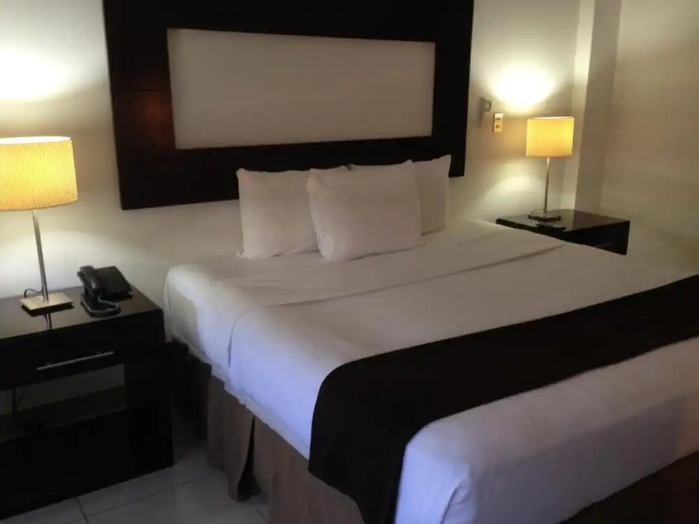 Hotel Brandts Los Robles de San Juan - Général