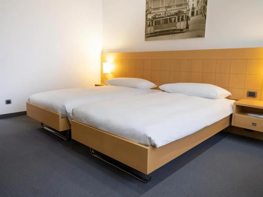 Superior Double room (twin beds)