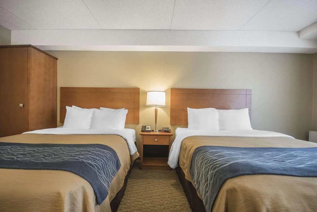 Comfort Inn - фото 6