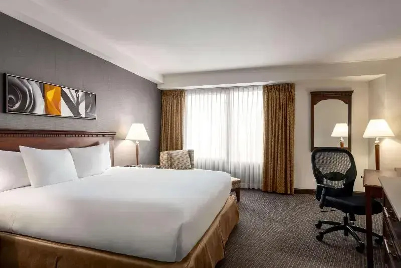 Wyndham Springfield City Centre - Chambres
