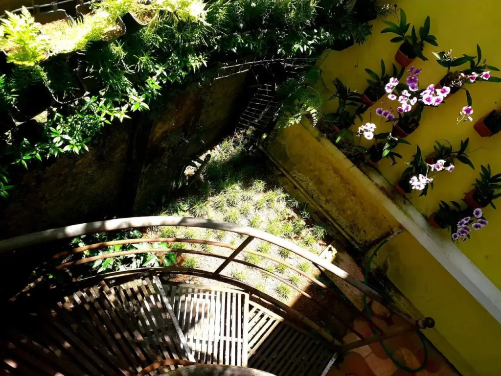 Vivaresidence Homestay