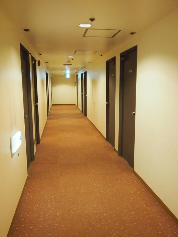 Hotel Taisei Annex - фото 17