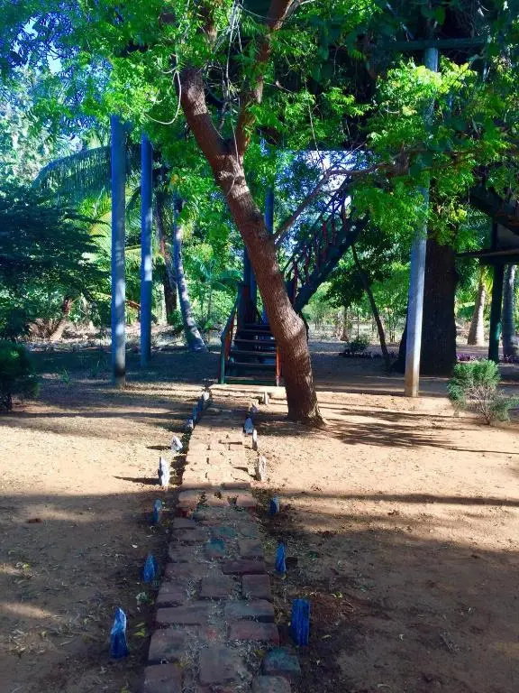 Yala Eco Tree House