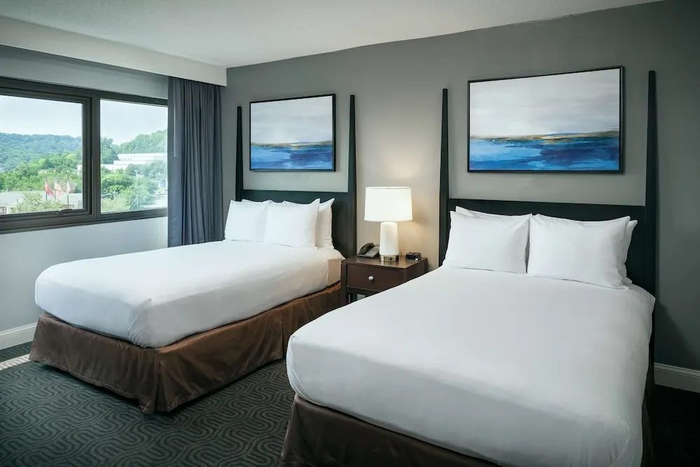 Hilton Brentwood/Nashville Suites - Chambres
