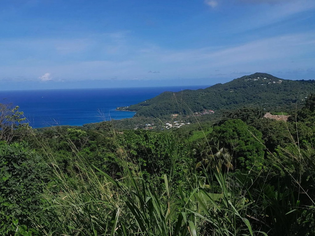 Appartement de 2 chambres avec vue sur la mer jardin clos et wifi a Deshaies a 1 km de la plage