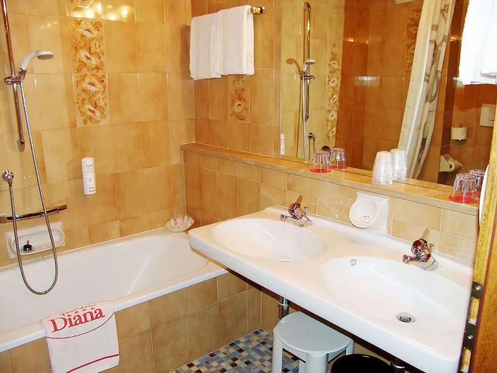 Comfort Double room with mountain view (full double bed)