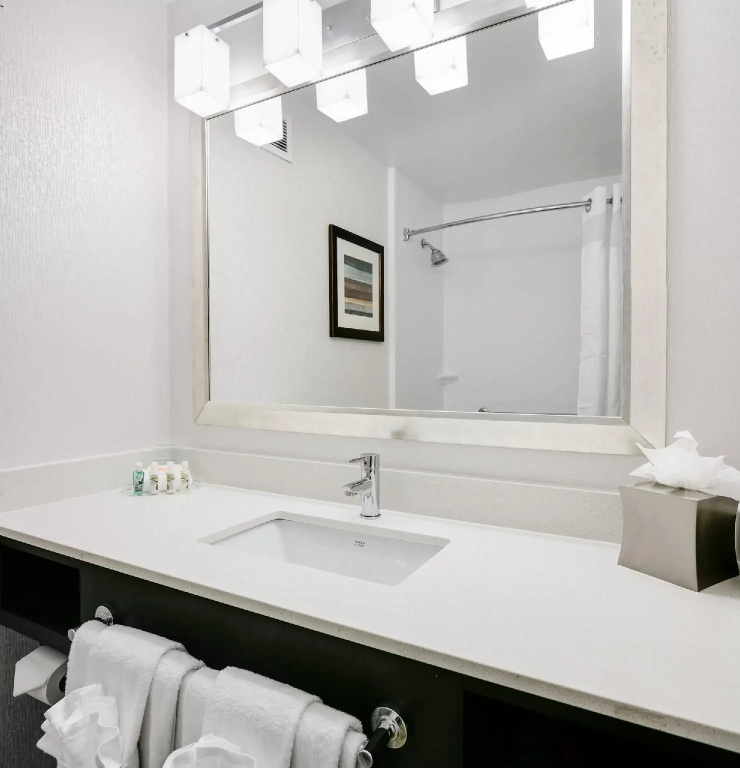 Holiday Inn & Suites Overland Park West by IHG - Chambres