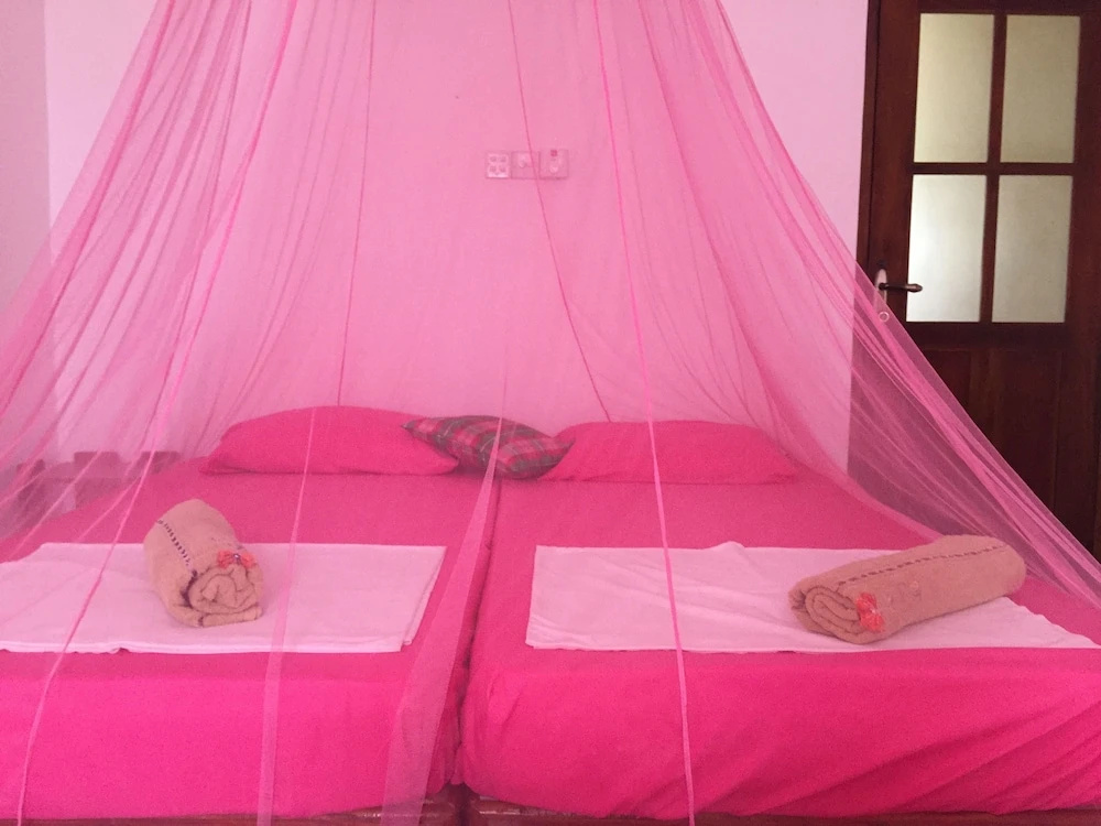 Standard Double room with mountain view (full double bed)