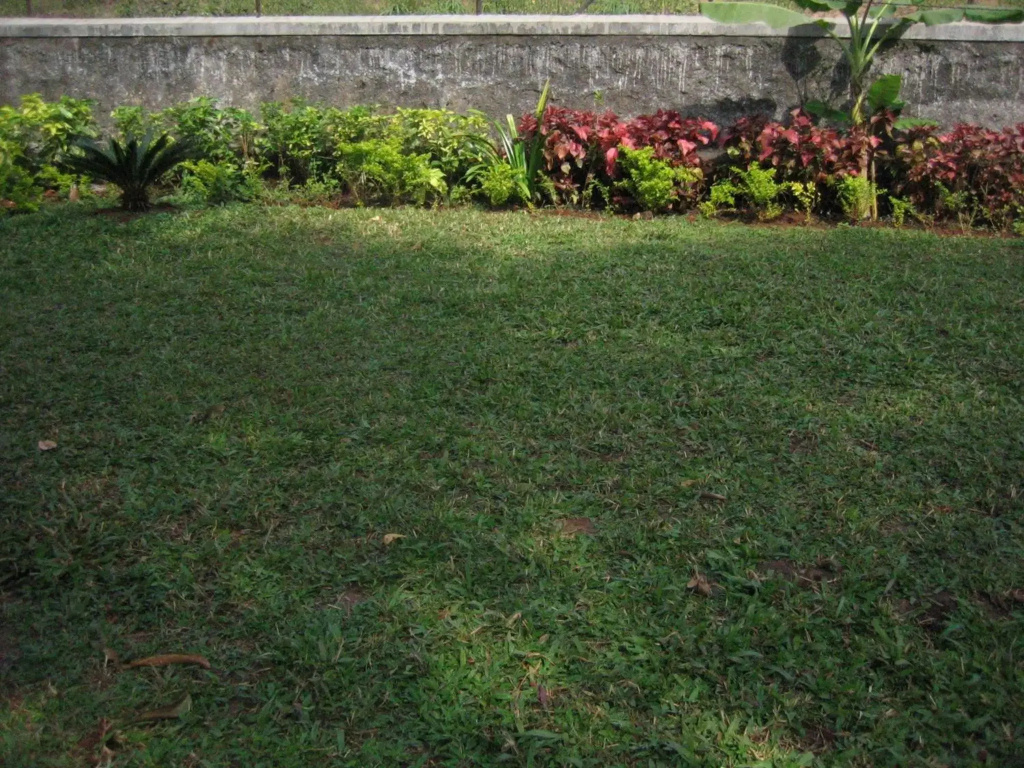Ferreira Resort - Général