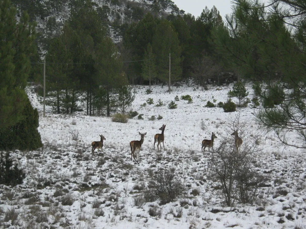 AIRE Turismo Rural