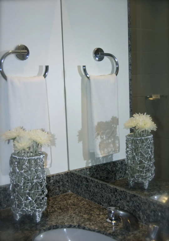 San Diego Suites Lourdes - Général