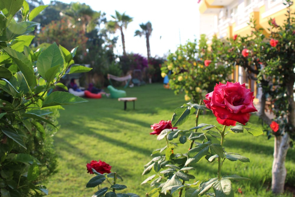 Hotel photo 45