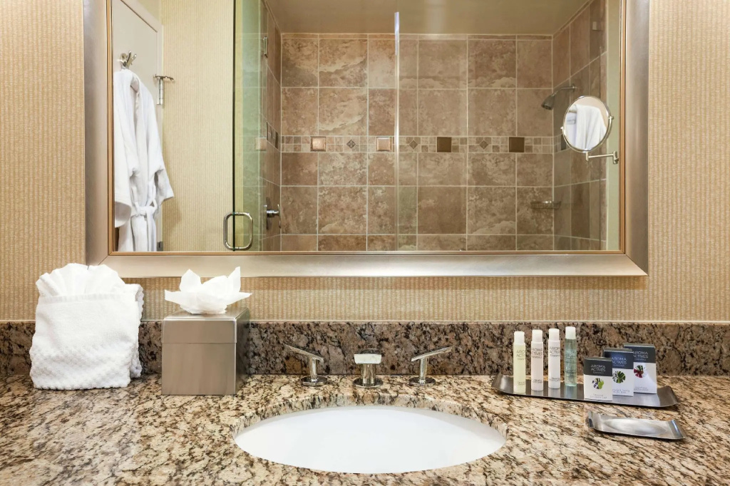 DoubleTree by Hilton Hotel Dallas – Love Field - Chambres