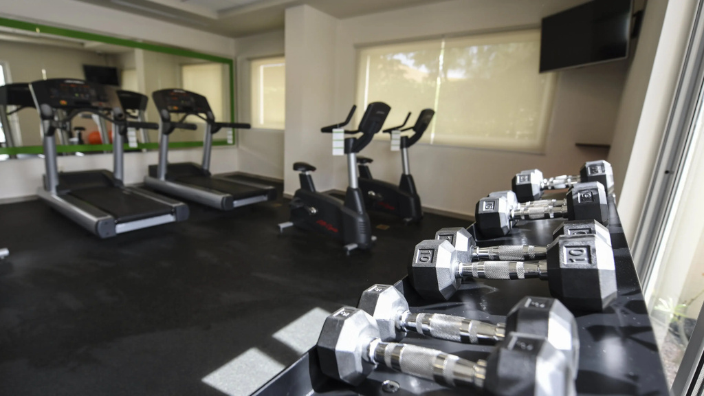 Holiday Inn Express & Suites Celaya by IHG - Général