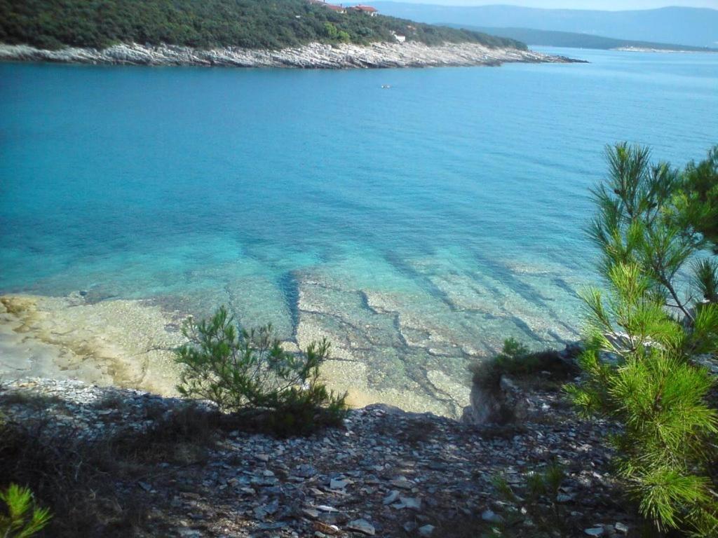 Отель Apartment Nika, фото 9