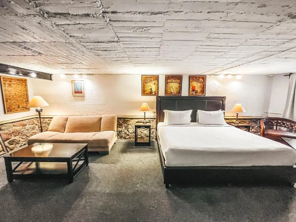 雙人套房，享有城市景觀，配備雙人床