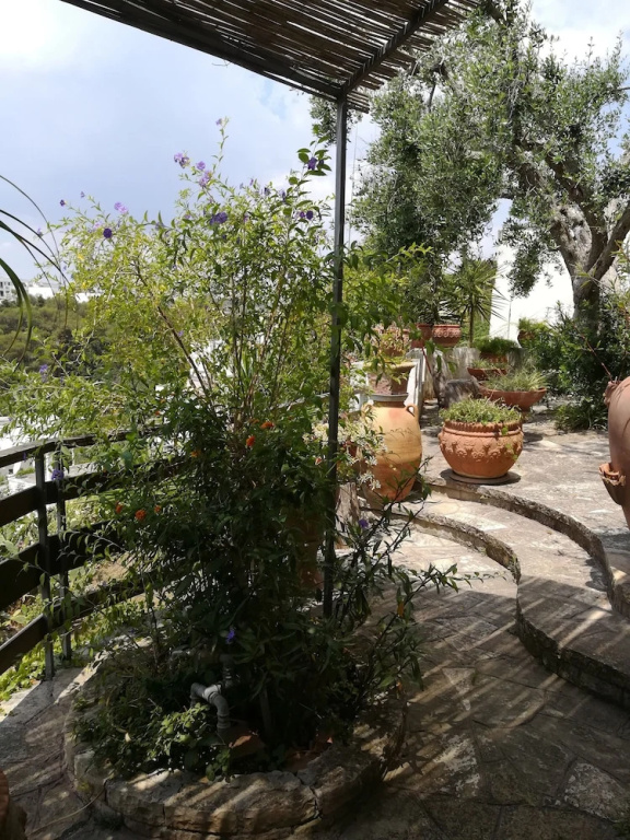 Hotel photo 32
