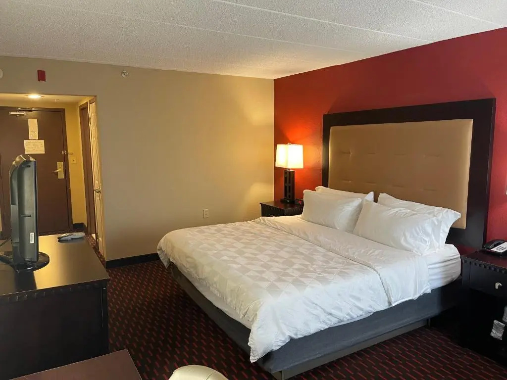 Wyndham Garden Dover - Chambres