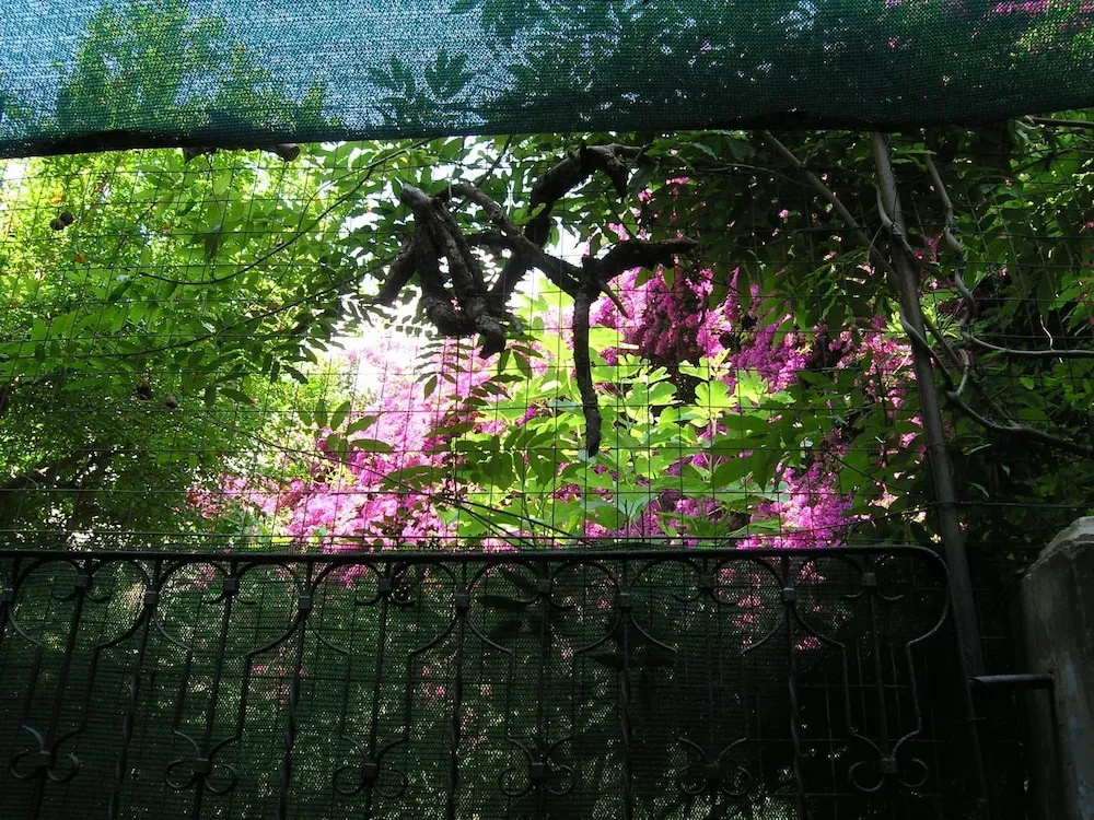 B&B Malennio