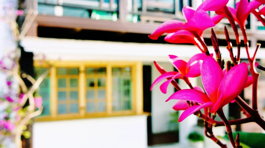 Hotel photo 26