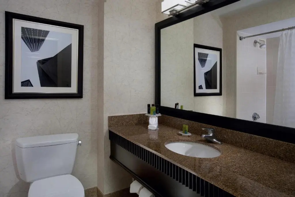 Embassy Suites by Hilton Chicago Downtown River North - Chambres