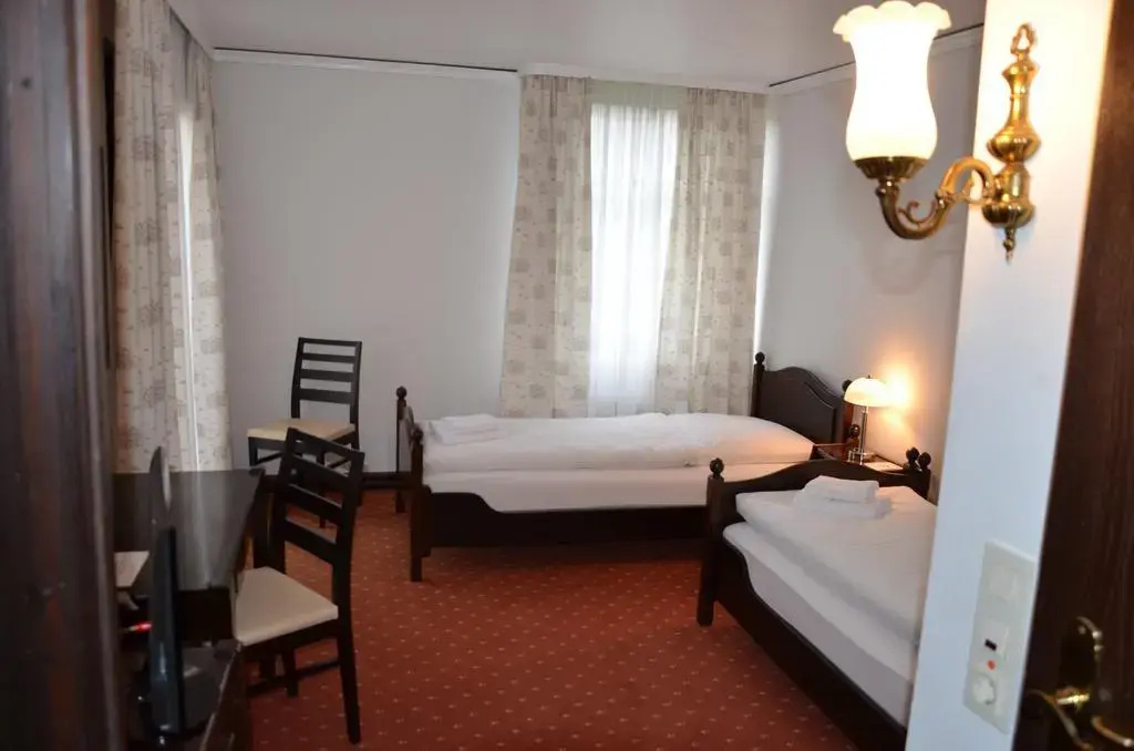 Hotel zur Traube - Général