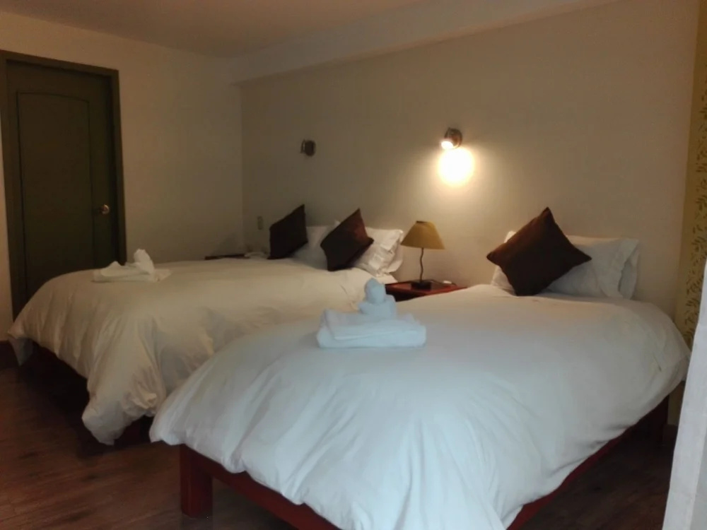 Standard Double room (twin beds)