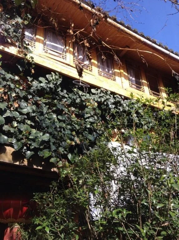 Snow Field Sunshine Inn