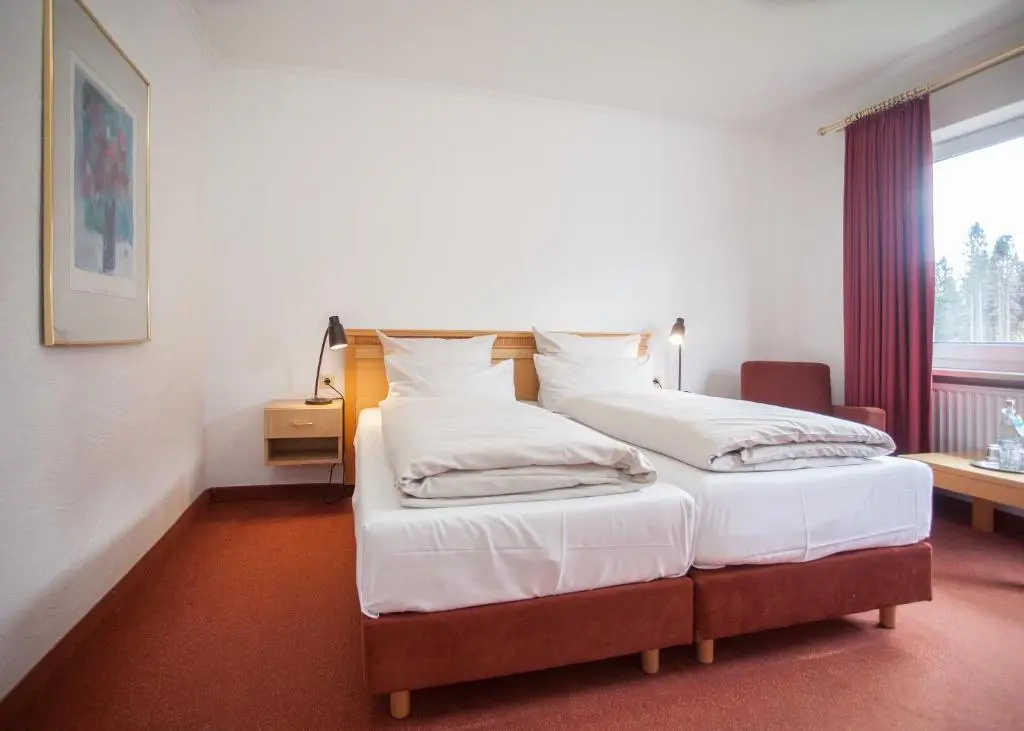 Standard Double room (full double bed)