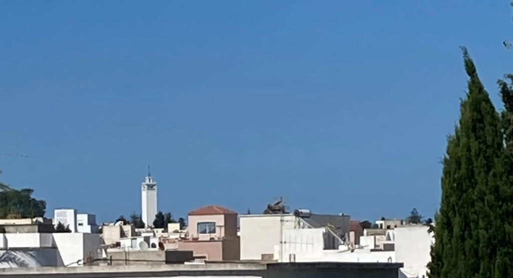 Studio Marsa — 5