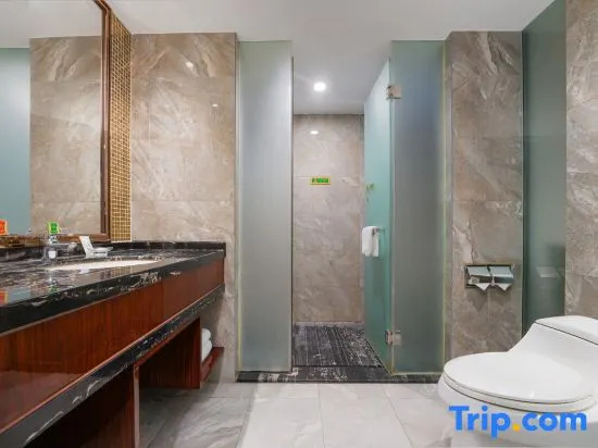 Vienna Classic Hotel Dongguan Changan Xiandai - Chambres