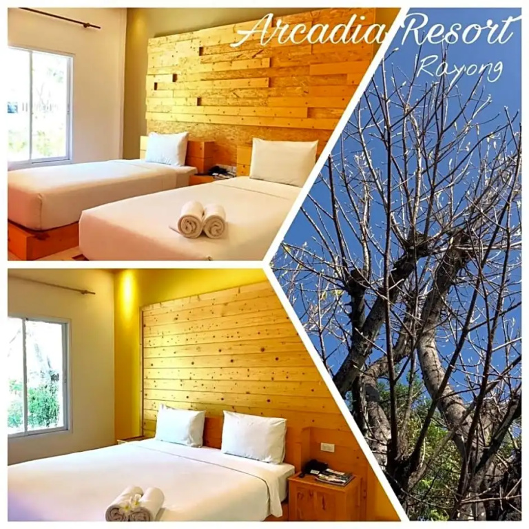 Standard Double room (twin beds)