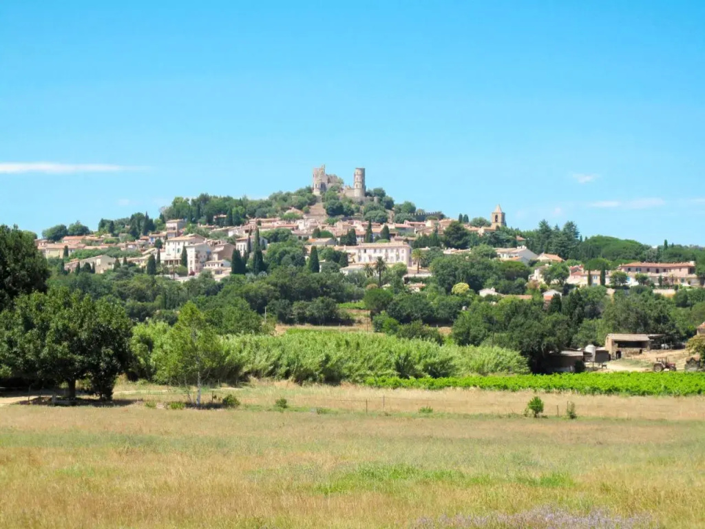 Holiday Home Le Mas d'Olive - GRI230