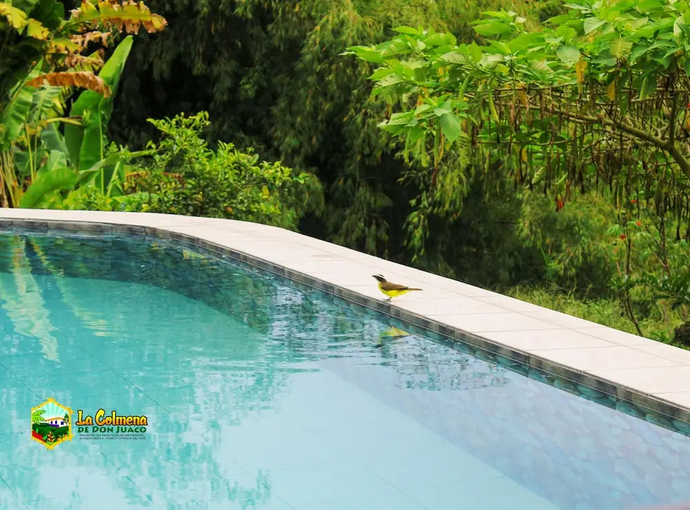 Finca la colmena de don juaco - Général