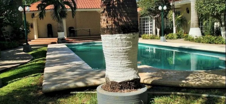 Hotel photo 42